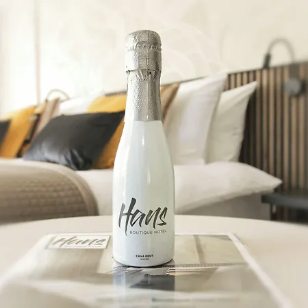 Boutique Hotel Hans - Amsterdam Schiphol Airport-2